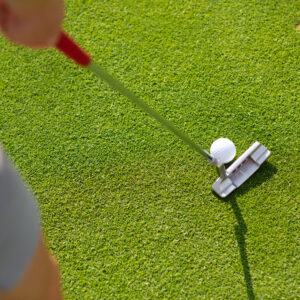 2 x 30 minute golf lessons and one hour on the simulator